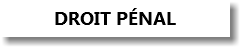 DROIT PéNAL